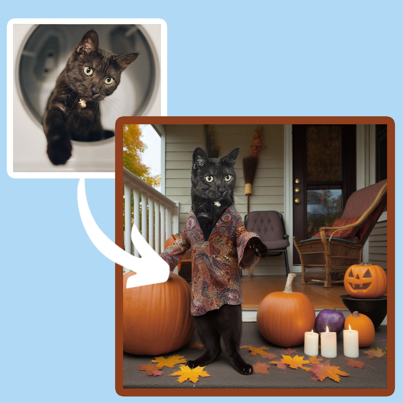 A reto pet portrait 1960s a black cat standing like a human in front of a halloween house and full moon